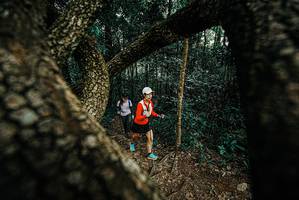 BIB: 
                            <button type="button" onclick="openModal(25667729)" class="btn btn-primary btn-sm float-right btn-popup" data-toggle="modal" data-target=".modal-high-quality">
                        <i class="fas fa-shopping-cart"></i> Add to Cart
                    </button>
                                            <button type="button" onclick="isThisMe(25667729, true)" class="btn btn-success btn-sm float-right btn-popup btn-isme hidden" data-toggle="tooltip" data-placement="bottom" title="นี่คือรูปของคุณใช่ไหม คลิกที่นี่เพื่อเอาเข้าอัลบั้ม">
                        <i class="fas fa-plus"></i> Add to album
                    </button>
                    <button type="button" onclick="isThisMe(25667729, false)" class="btn btn-warning btn-sm float-right btn-popup btn-isnotme hidden">
                        <i class="fas fa-ban"></i> Remove from album
                    </button>